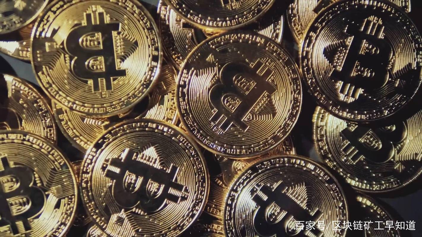 Cryptocurrency Mining Rig